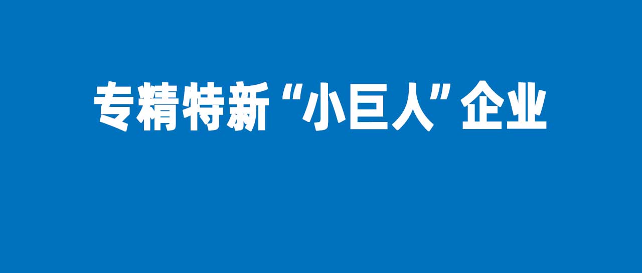 鑫英泰再获国家级专精特新“小巨人”认定